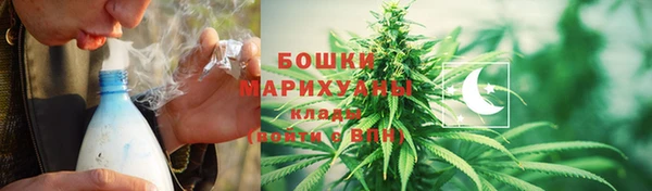 шишки Алексин