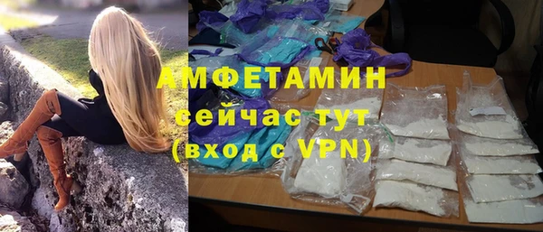 сатива Алзамай