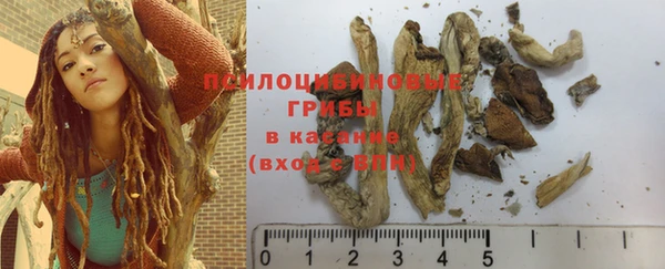 mdma Новодвинск